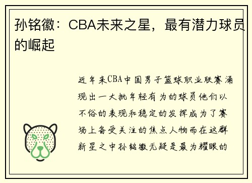 孙铭徽：CBA未来之星，最有潜力球员的崛起